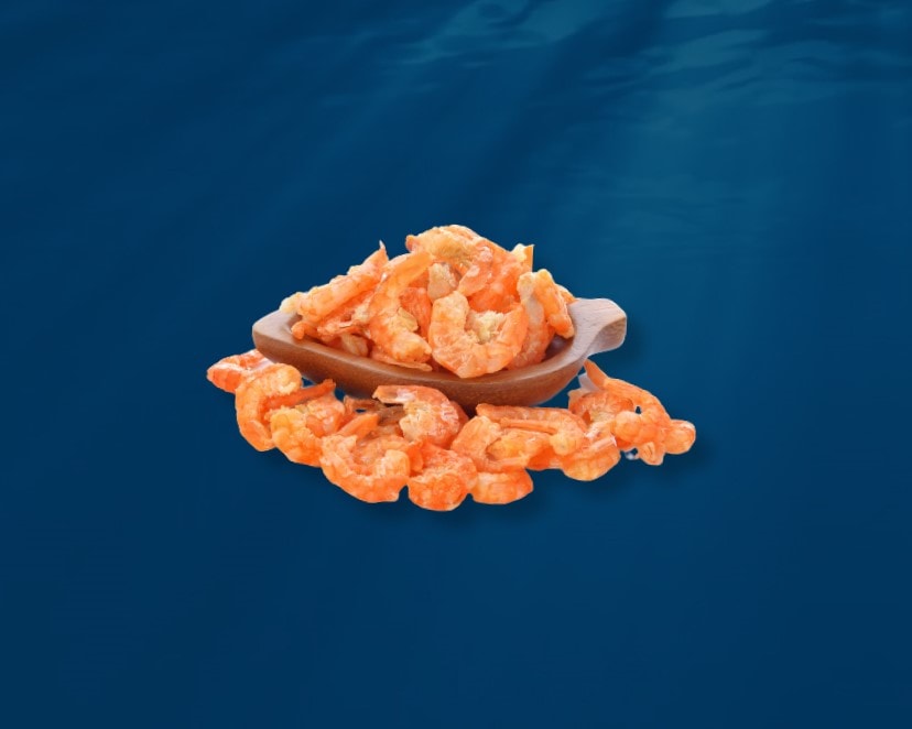 Dried Shrimp